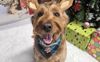 Reba – Melanie Huber